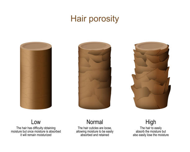 What Even Is Porosity?!
