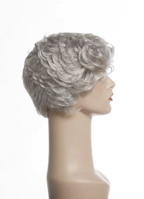 New Image Synthetic Wig Friends Wigs New Image Wigs 56R 