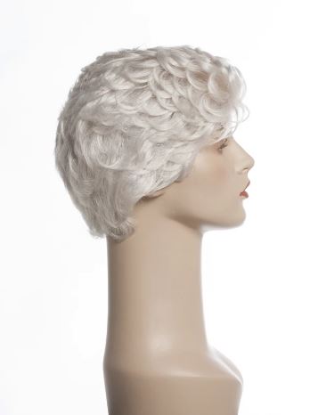New Image Synthetic Wig Friends Wigs New Image Wigs 60R 