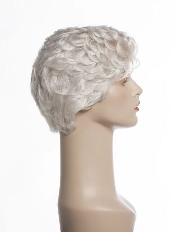New Image Synthetic Wig Friends Wigs New Image Wigs 60R 